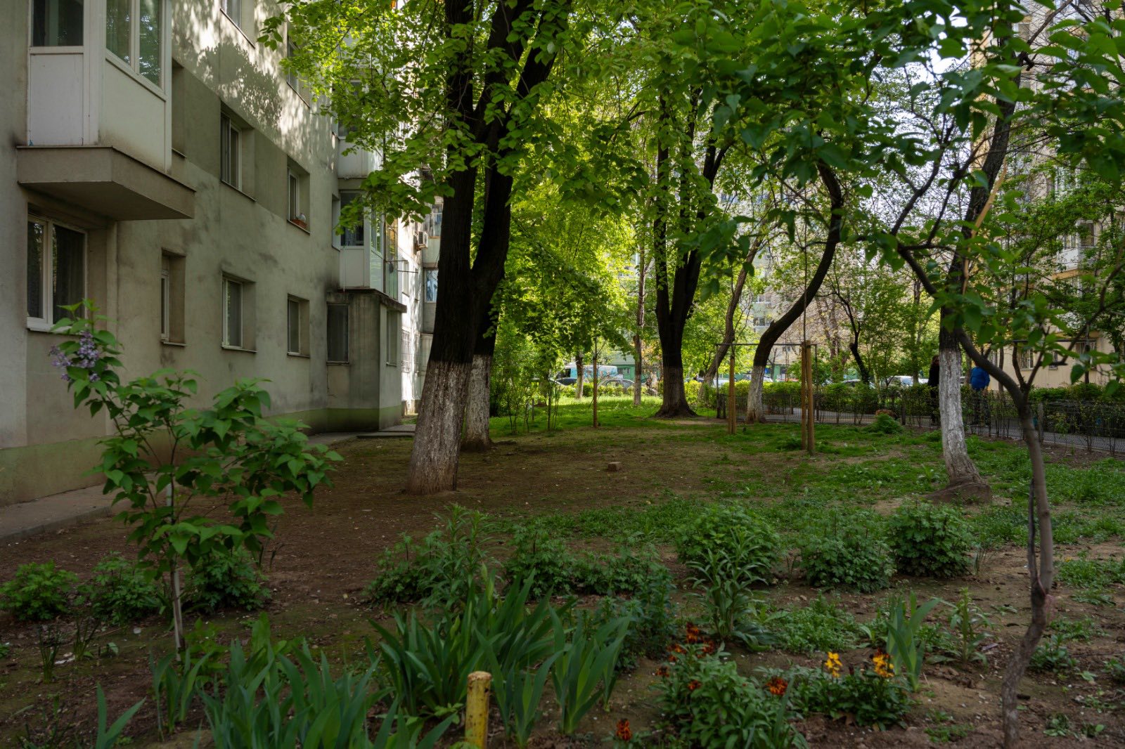 Tineri din Sectorul 2 invitați să contribuie la regenerarea urbană prin proiectul ReGreeneration Echipe formate din studenți și tineri cu vârsta sub 28 de ani din Sectorul 2 au oportunitatea de a participa la competiția internațională C40 Students Reinventing Cities