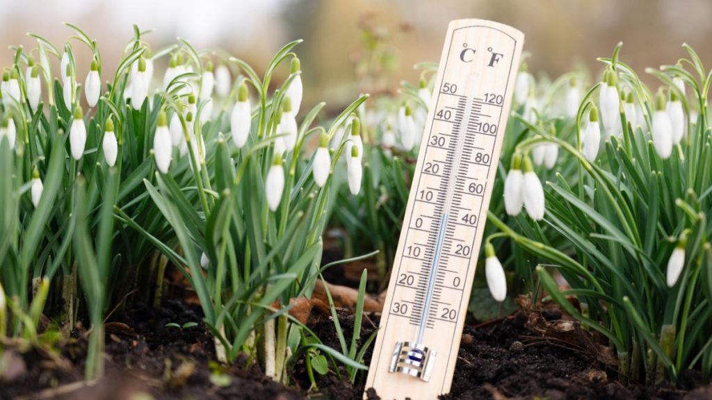 Vremea se schimbă: Bucureștiul se bucură de temperaturi peste medie, dar România se pregătește de vânt puternic Bucureștenii se pot aștepta la temperaturi peste media perioadei în duminica ce urmează, conform Administrației Naționale de Meteorologie (ANM)