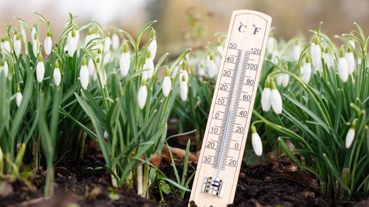Vremea se schimbă: Bucureștiul se bucură de temperaturi peste medie, dar România se pregătește de vânt puternic Bucureștenii se pot aștepta la temperaturi peste media perioadei în duminica ce urmează, conform Administrației Naționale de Meteorologie (ANM)