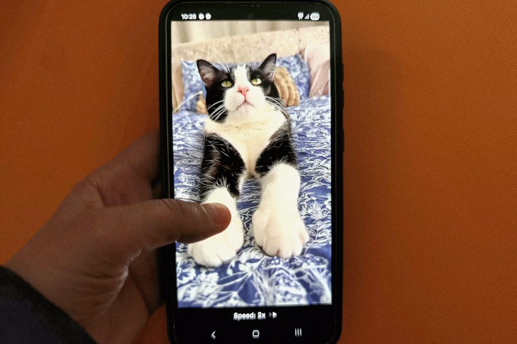 Clipuri scurte pe internet: plăcere rapidă, efecte pe termen lung? Platformele de socializare au cunoscut o explozie a popularității în ultimii ani, datorită clipurilor video scurte