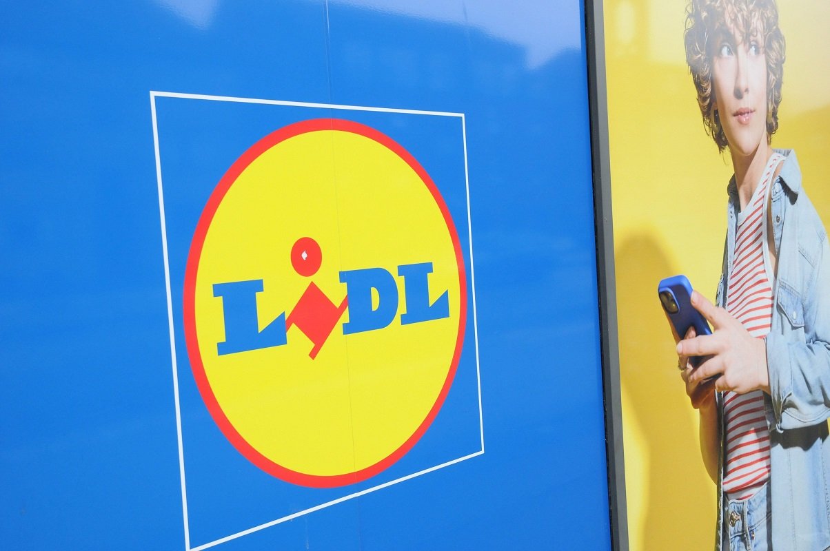 Lidl introduce rezervarea online pentru miel întreg și alte produse prin aplicație Lanțul de magazine Lidl a lansat o nouă opțiune pentru clienții săi, permițând rezervarea online a diverselor articole, inclusiv a mielului întreg românesc