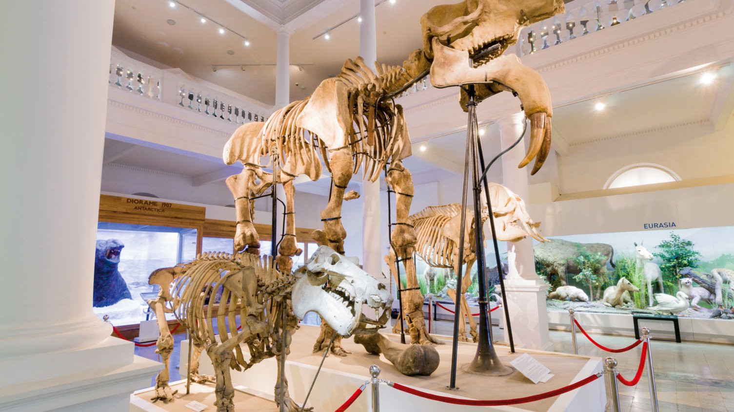 Muzeul Antipa își adaptează programul de vizitare pentru sezonul cald Începând cu 1 aprilie, Muzeul Național de Istorie Naturală „Grigore Antipa” trece la programul de vară