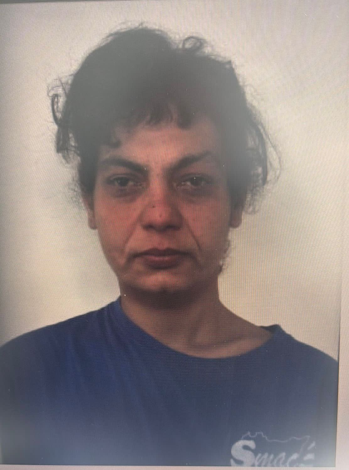 Autopsia confirmă moartea violentă a unei românce în Italia; victima a fost sfâșiată de câini O femeie de 36 de ani din România a fost găsită moartă în Catania, Italia, după ce a fost atacată și sfâșiată de câini, potrivit rezultatelor autopsiei