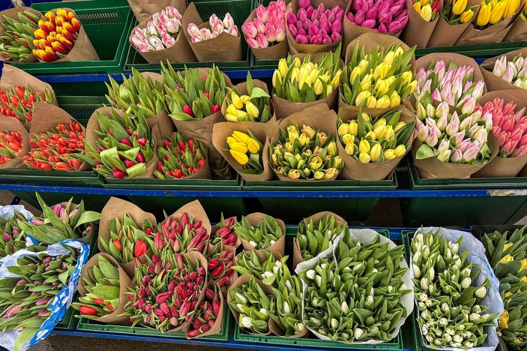 Șoricel surprins la cumpărături de Mărțișor într-un supermarket din Buftea Un client al unui supermarket Kaufland din Buftea a surprins un șoricel plimbându-se nestingherit printre buchetele de flori