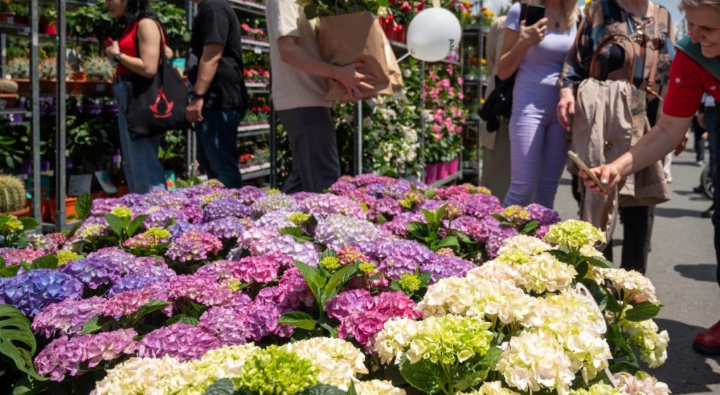 West Side Flower Fest 2026: Înscrieri comercianți, detalii