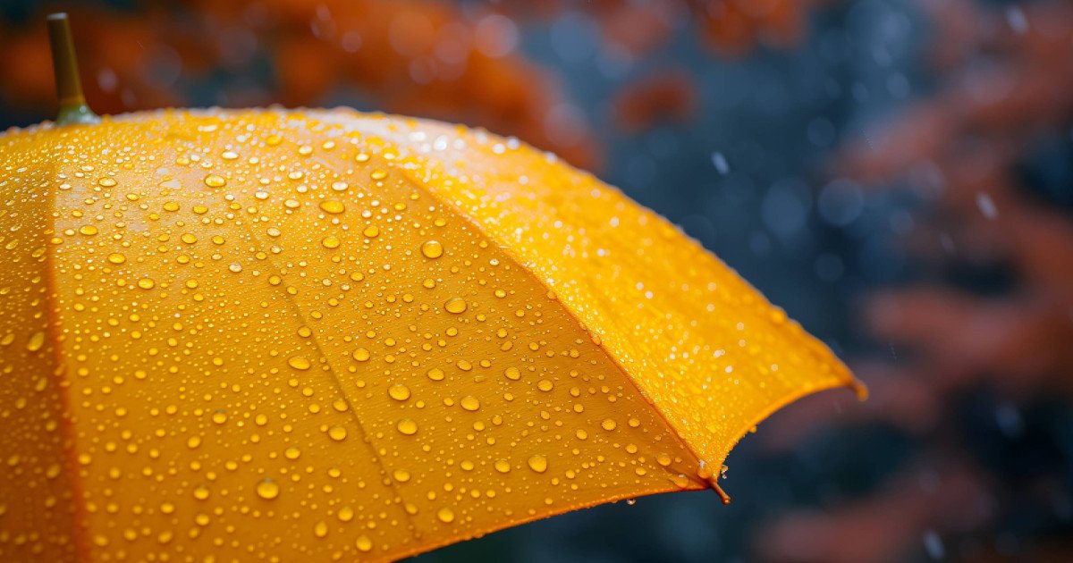 Vremea de primăvară: Cum se anunță vremea până la finalul lui aprilie Bucureștenii, dar și locuitorii din sudul și estul țării, se pot aștepta la ploi mai consistente în primele zile ale lunii aprilie