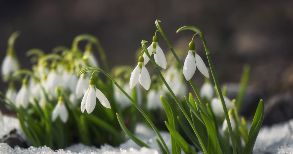 Zile cu soare, dar și vânt puternic: ce ne rezervă vremea în următoarea perioadă O primăvară timpurie pare să se instaleze în România, însă meteorologii avertizează că vremea capricioasă ne poate rezerva surprize