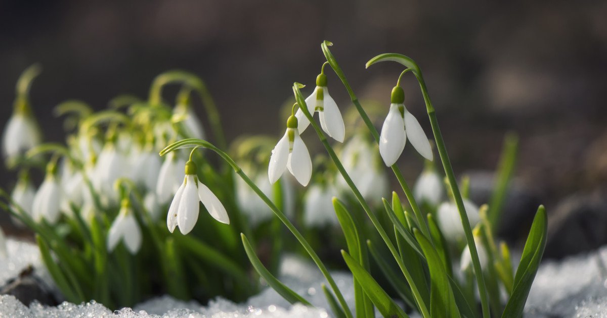 Zile cu soare, dar și vânt puternic: ce ne rezervă vremea în următoarea perioadă O primăvară timpurie pare să se instaleze în România, însă meteorologii avertizează că vremea capricioasă ne poate rezerva surprize