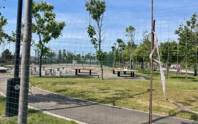 Prin PNRR, 30 de școli din Timișoara au mese de ping-pong