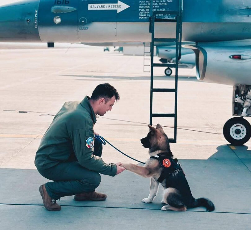 Un militar a murit în efortul de a salva un câine la baza aeriană de la borcea Un căpitan din cadrul Forțelor Aeriene Române a decedat marți, 26 martie, la Baza 86 Aeriană „Locotenent Aviator Gheorghe Mociorniță” din Borcea, județul Călărași