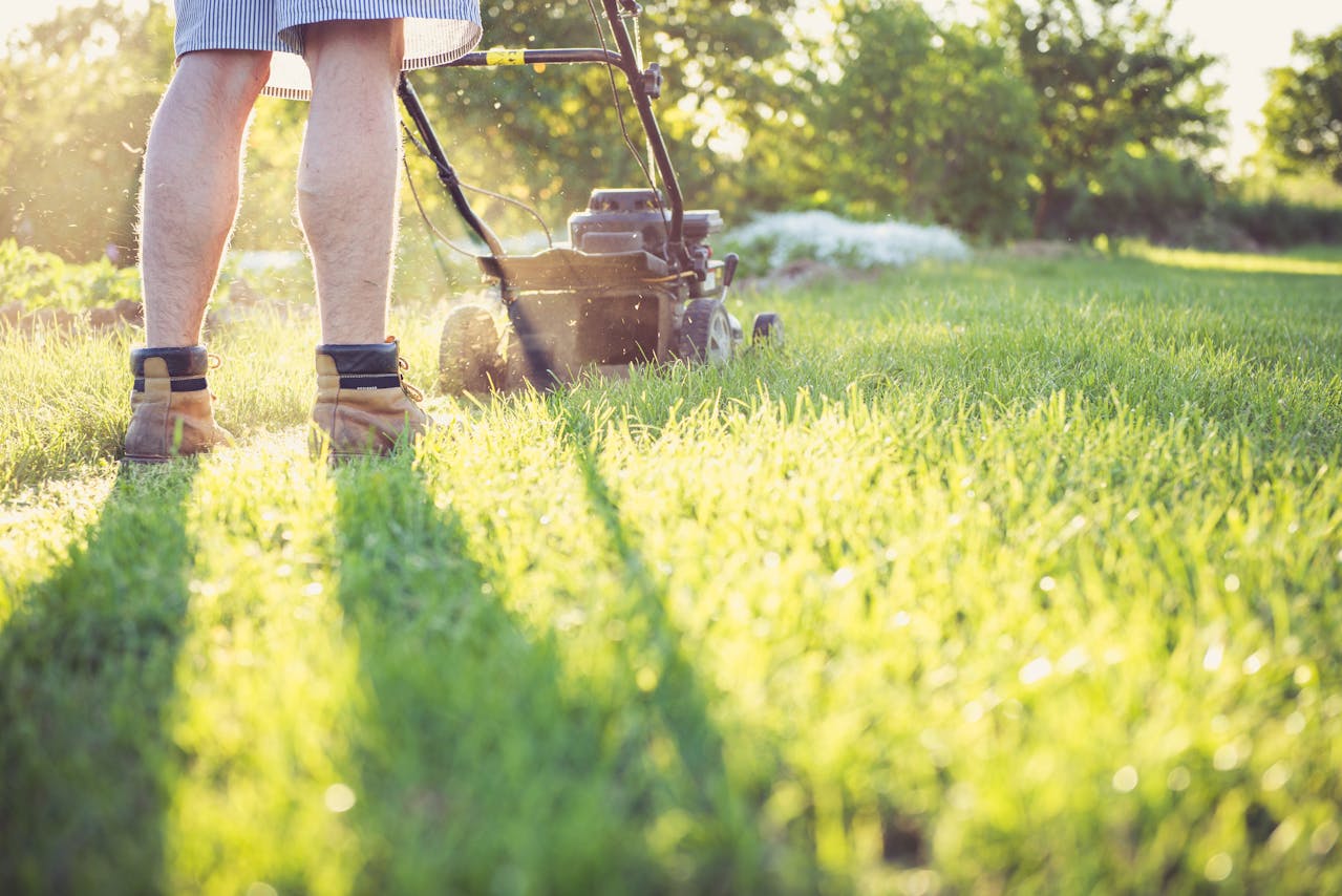 Soluția simplă pentru un gazon perfect: sfaturi de la experți Un gazon verde și uniform reprezintă un element cheie pentru o curte îngrijită