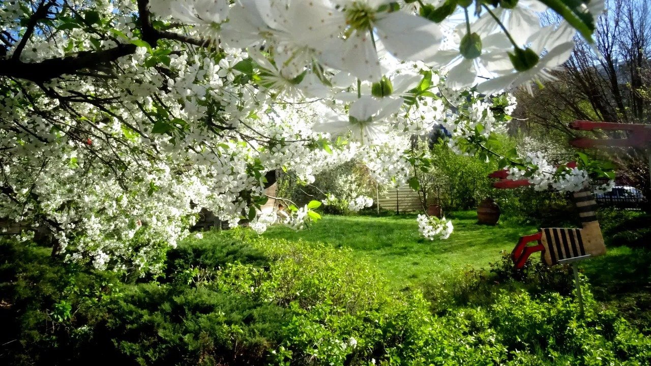 Vremea rămâne caldă și peste medie, cu maxime de 17 grade Celsius Vremea se menține neobișnuit de caldă în România, cu temperaturi ce vor continua să depășească mediile multianuale specifice perioadei