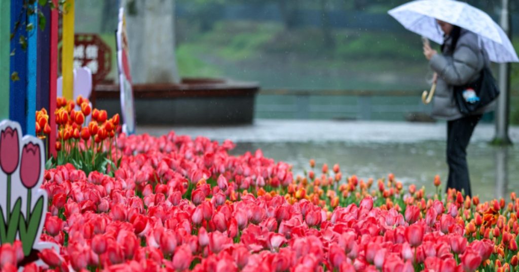 Vremea capricioasă ne dă bătăi de cap: prognoza pentru Paște este incertă București – Zilele însorite și temperaturile ridicate din ultima perioadă ne-au făcut să sperăm la un Paște cu vreme frumoasă