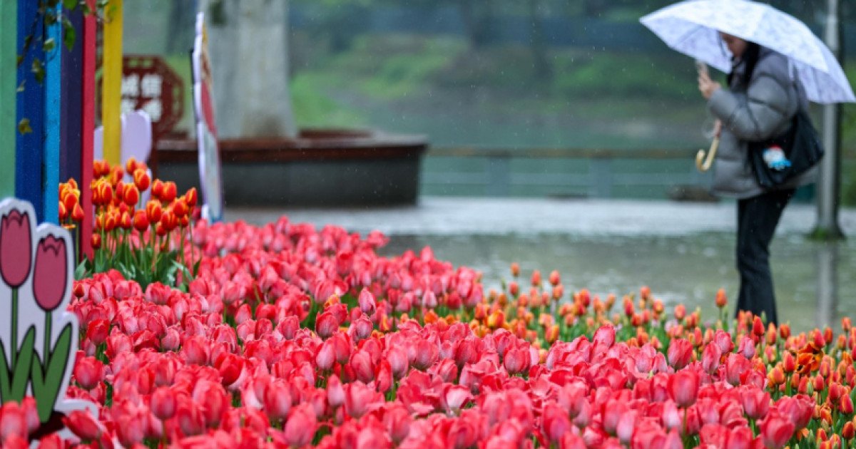 Vremea capricioasă ne dă bătăi de cap: prognoza pentru Paște este incertă București – Zilele însorite și temperaturile ridicate din ultima perioadă ne-au făcut să sperăm la un Paște cu vreme frumoasă