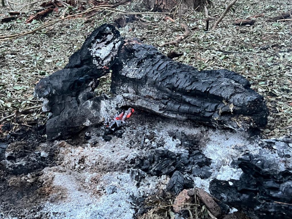 Avioanele românești, pregătite să tragă în apropierea graniței cu Ucraina Ministrul Apărării, Radu Miruță, a confirmat sâmbătă că avioanele românești care au decolat vineri, după detectarea unor ținte aeriene în apropierea graniței cu Ucraina, aveau aprobare să folosească armamentul