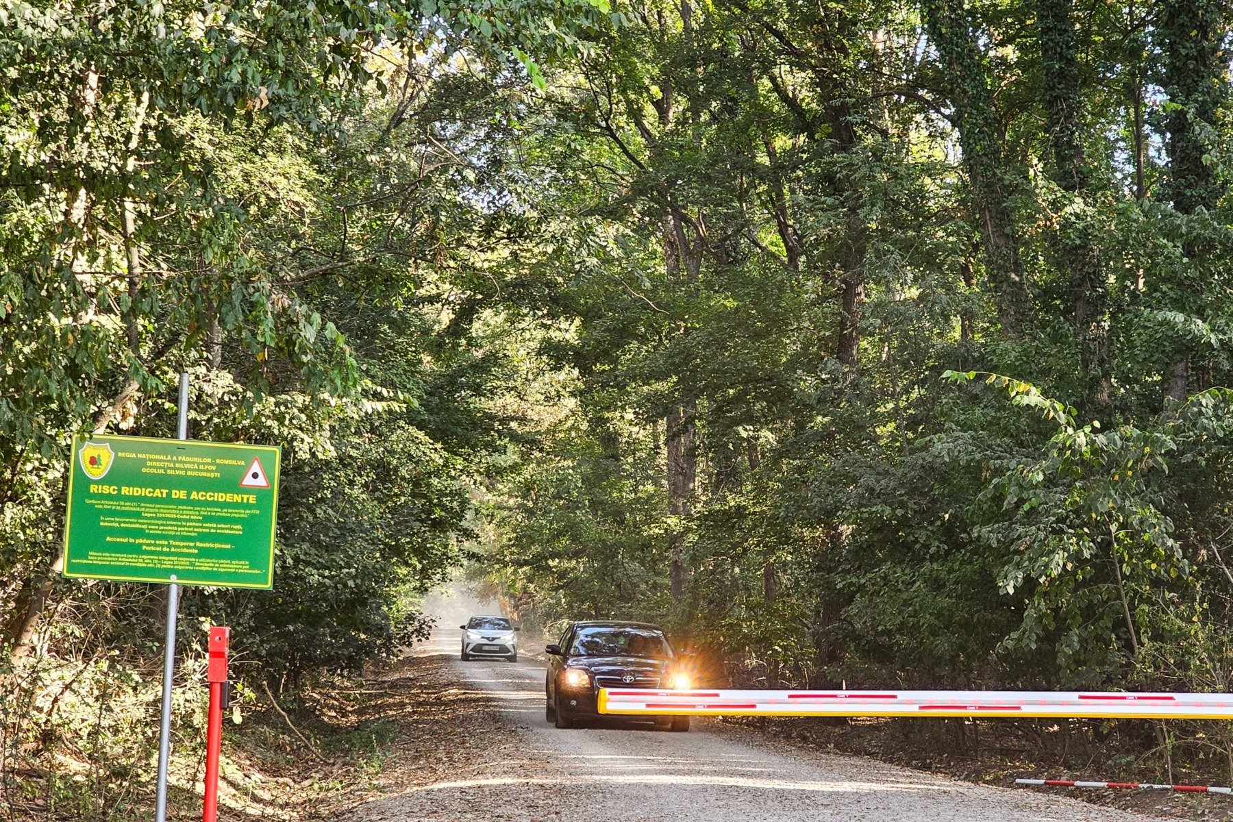 Ministrul Mediului promite protejarea Pădurii Băneasa Ministrul Mediului, Apelor și Pădurilor, Diana Buzoianu, a declarat sâmbătă, într-o conferință de presă, că protejarea Pădurii Băneasa este o prioritate a ministerului