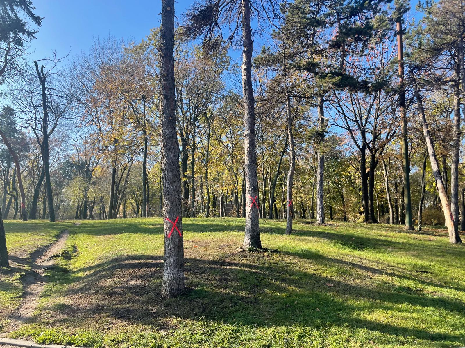 Amenzi de 40.000 de lei pentru o firmă care a distrus rădăcinile unor copaci din Parcul Carol O firmă care executa lucrări în Parcul Carol din București se confruntă cu o serie de amenzi semnificative, după ce a fost depistată că a intervenit ilegal în spațiul verde