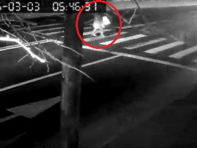 Kader Keita, fotbalistul care a lovit o femeie pe trecerea de pietoni, audiat de poliție Fostul fotbalist ivorian Kader Keita este cercetat de autorități după ce a fost implicat într-un accident rutier în urma căruia o femeie a fost rănită pe o trecere de pietoni