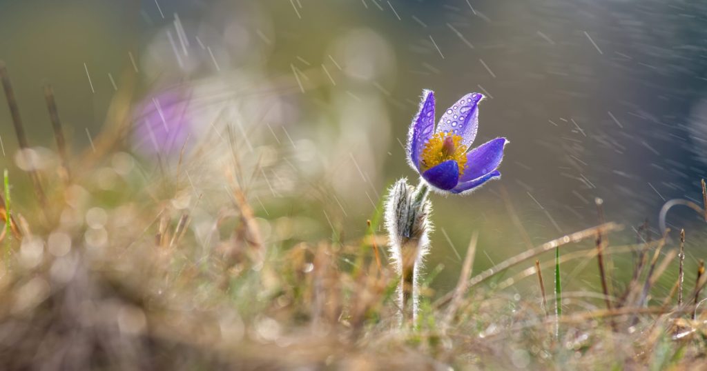 Vremea se schimbă radical: După temperaturi de primăvară, vine aerul polar și scăderea bruscă a temperaturilor După o perioadă cu temperaturi neobișnuit de ridicate pentru această perioadă a anului, meteorologii anunță o răcire bruscă a vremii în România
