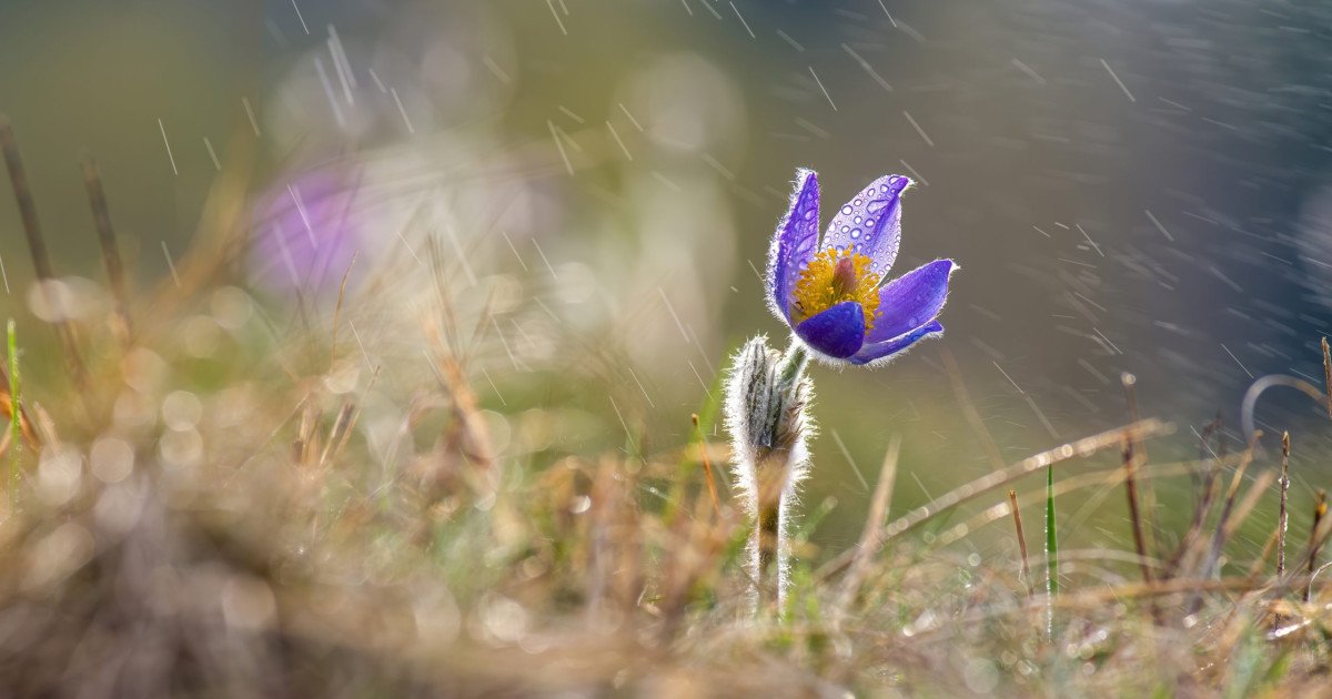 Vremea se schimbă radical: După temperaturi de primăvară, vine aerul polar și scăderea bruscă a temperaturilor După o perioadă cu temperaturi neobișnuit de ridicate pentru această perioadă a anului, meteorologii anunță o răcire bruscă a vremii în România