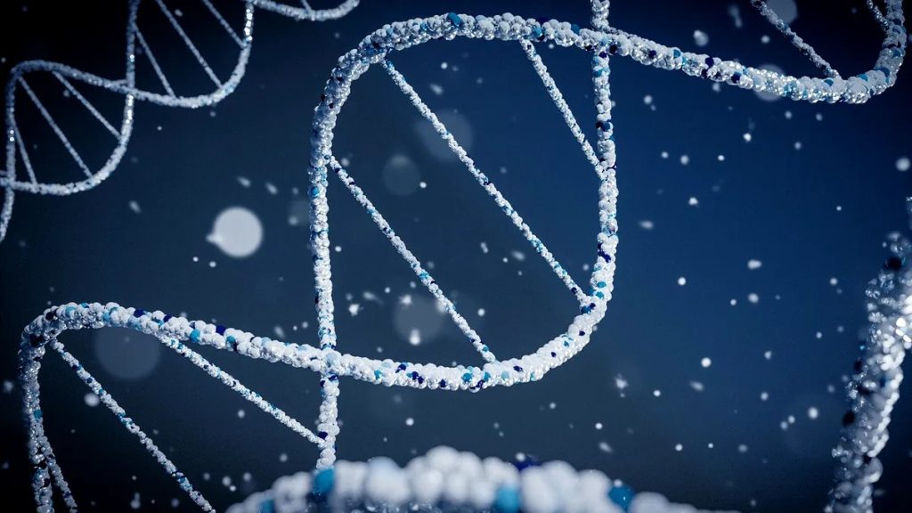 ADN-ul antic rescrie istoria: populațiile preistorice din Europa au avut o evoluție mult mai complexă Un studiu recent, bazat pe analiza ADN-ului antic, aruncă o nouă lumină asupra modului în care populațiile preistorice din Europa au interacționat și au evoluat