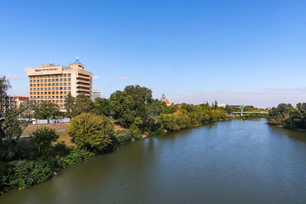 Animal sălbatic, observat frecvent într-un oraș din România