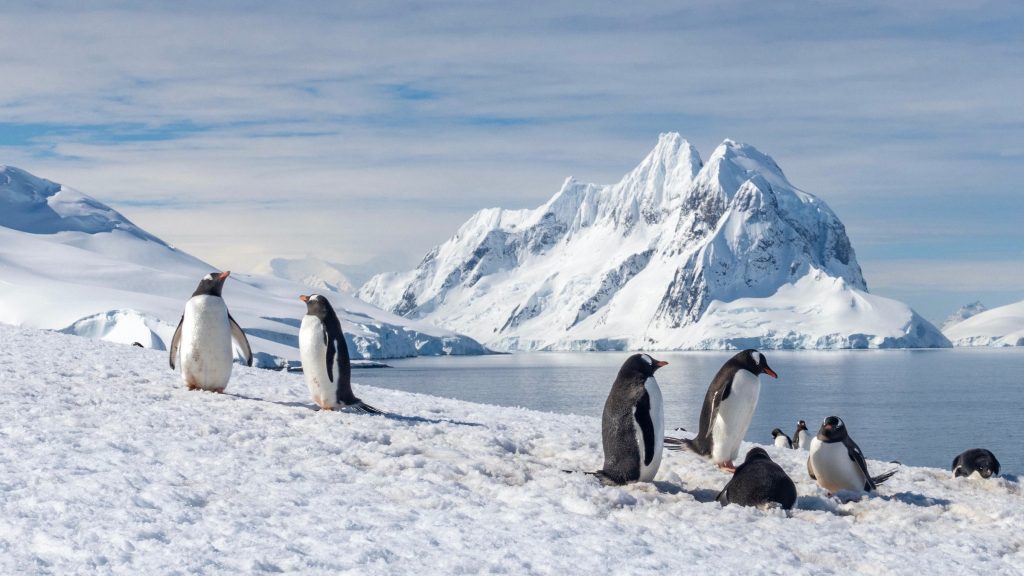 Antarctica, din ce în ce mai vulnerabilă în fața schimbărilor climatice Antarctica, considerată mult timp un bastion relativ izolat de efectele încălzirii globale, este acum scena unor transformări rapide și îngrijorătoare