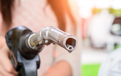 Ședință la guvern: Bolojan cu miniștrii despre prețul carburanților