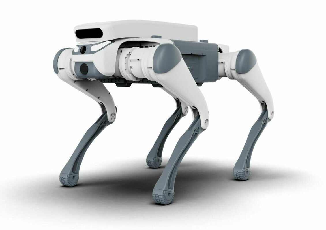 Orașul românesc unde roboții patrulează pe străzi