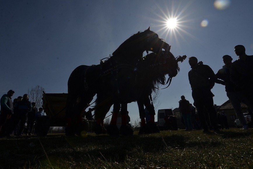 Primarii ieșeni resping transformarea comunelor în sectoare