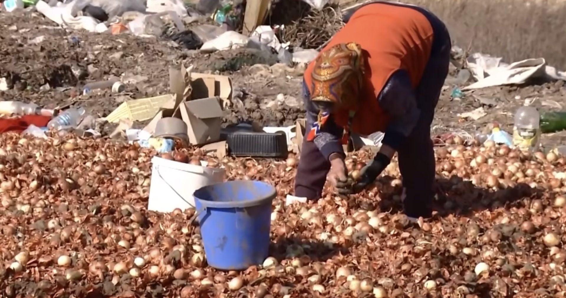 Ceapă aruncată la gunoi, localnicii din Republica Moldova strâng legume din groapa de deșeuri Tone de ceapă și alte legume au ajuns la o groapă de gunoi de lângă satul Gura Bâcului, din raionul Anenii Noi, Republica Moldova