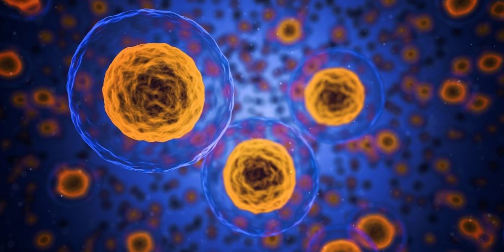 Bacterii modificate genetic, potențială armă împotriva cancerului O echipă de cercetători chinezi a dezvoltat o metodă inovatoare de luptă împotriva cancerului, utilizând bacterii modificate genetic