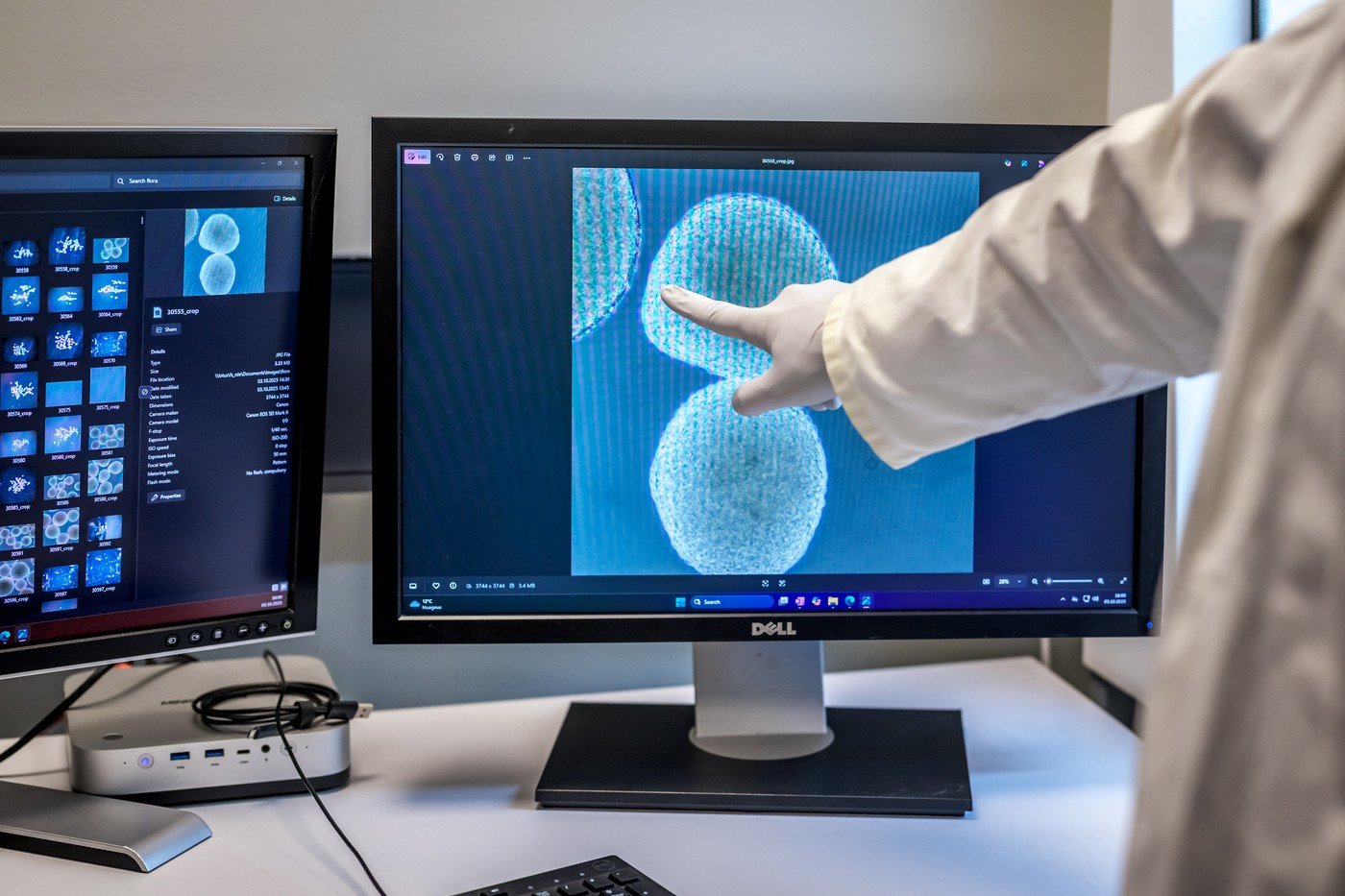 Creierul uman, un GPS pentru gânduri și amintiri Cercetătorii au descoperit că mecanismele neuronale responsabile pentru orientarea spațială joacă un rol crucial în organizarea memoriei și a gândurilor