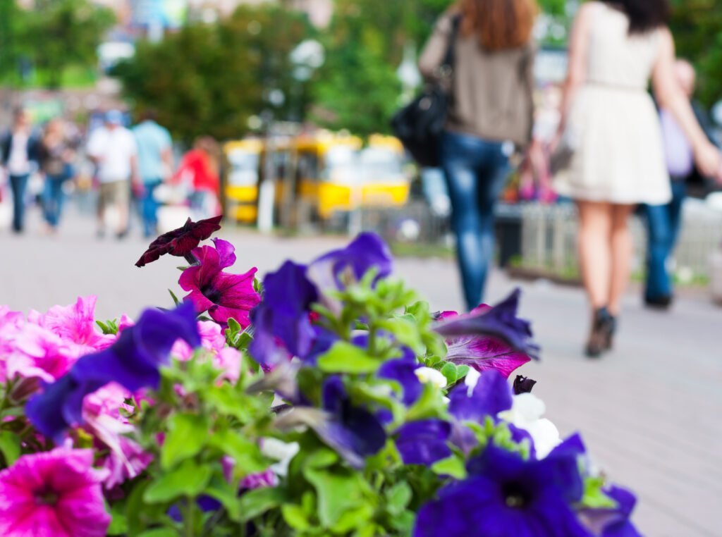 Sondaj g4media: Succesul profesional vs. Viața de familie, posibile pentru femeile din România?