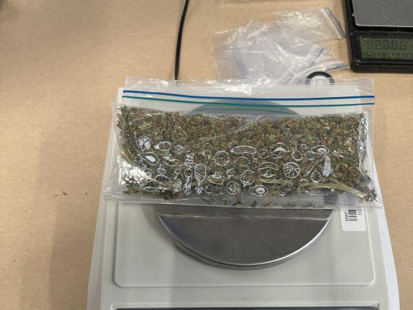 Doi adolescenți din Noua Zeelandă au comis o gafă neobișnuită, lăsând un rucsac plin cu marijuana și bani într-o zonă de donații a unui magazin caritabil