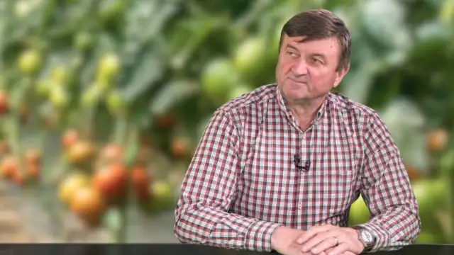 Prețurile legumelor cresc înaintea Paștelui: Carburanții și energia, factori decisivi Prețurile legumelor și verdețurilor vor crește în România, în pragul sărbătorilor pascale