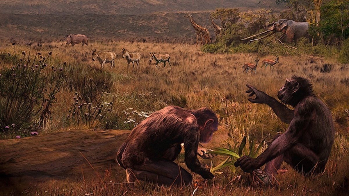 O fosilă bulgară zguduie teoriile privind originea omului O descoperire arheologică recentă în Bulgaria pune sub semnul întrebării teoriile actuale despre originea omului