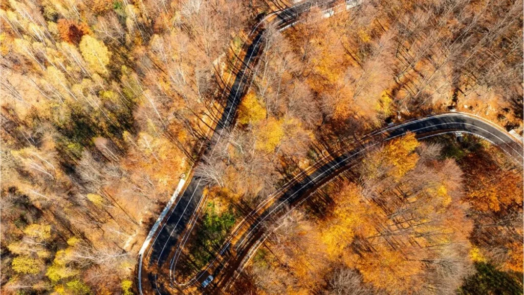 DN2L Soveja-Lepșa, modernizat după ani de amânări: 16 km de drum nou Drumul Național DN2L, care leagă localitățile Soveja și Lepșa, a fost complet modernizat pe o lungime de 16 kilometri