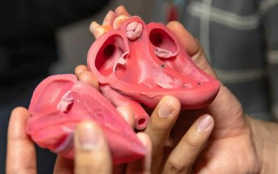 Schimbări mici, efecte mari: Cum poți reduce riscul de boli cardiovasculare Un studiu recent sugerează că mici ajustări în stilul de viață pot avea un impact semnificativ asupra sănătății cardiovasculare