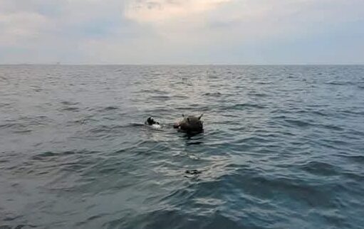 Contraziceri la București: Ministerul Apărării respinge acuzațiile Rusiei privind minele marine Ministerul Apărării Naționale (MApN) a respins ferm acuzațiile venite din partea Rusiei cu privire la originea minelor marine care au creat recent îngrijorare în Marea Neagră