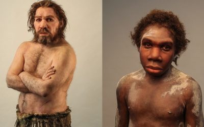 Neanderthalienii, o istorie genetică a supraviețuirii și dispariției Un studiu recent detaliază traseul genetic al neanderthalienilor în Europa, oferind o perspectivă asupra ultimelor milenii de existență ale acestei specii