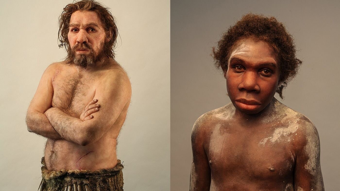 Neanderthalienii, o istorie genetică a supraviețuirii și dispariției Un studiu recent detaliază traseul genetic al neanderthalienilor în Europa, oferind o perspectivă asupra ultimelor milenii de existență ale acestei specii