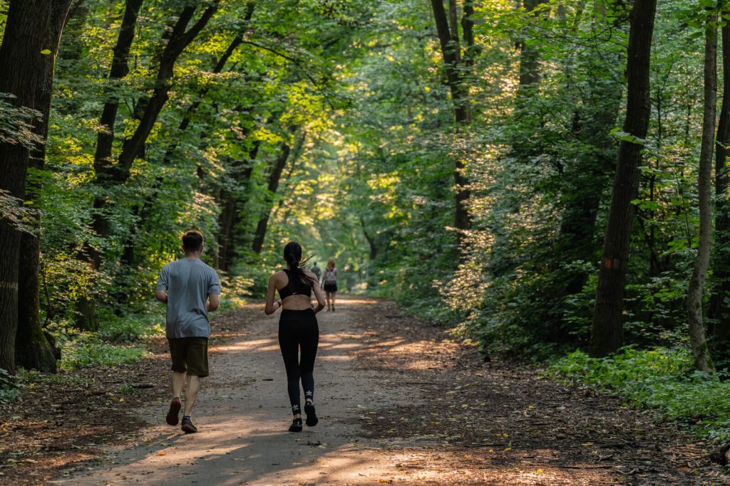 Pădurea Băneasa, în atenția autorităților: un studiu propune transformarea în parc natural Un studiu realizat în martie 2026 de Asociația Parcul Natural București (APNB) propune transformarea Pădurii Băneasa într-o arie naturală protejată, cu statut de parc natural