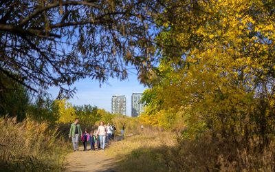 Ghid pentru Săptămâna Verde: Asociația Parcul Natural București lansează un instrument util pentru profesori și elevi Asociația Parcul Natural București (APNB) a elaborat un ghid de activități dedicat profesorilor și elevilor, cu scopul de a facilita organizarea Săptămânii Verzi în școli
