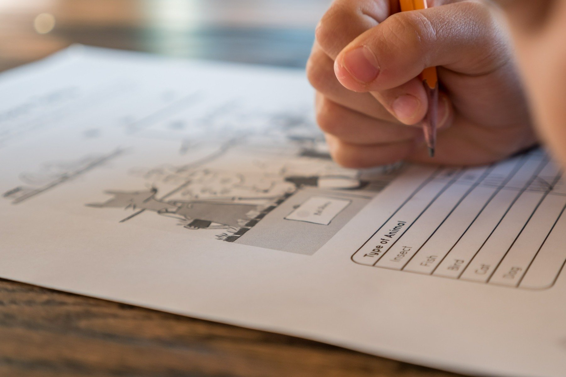 Începe simularea evaluării naționale: Peste 97% dintre școli participă Simularea Evaluării Naționale, un moment important în calendarul școlar, debutează luni, 16 martie, cu proba de Limba și literatură română