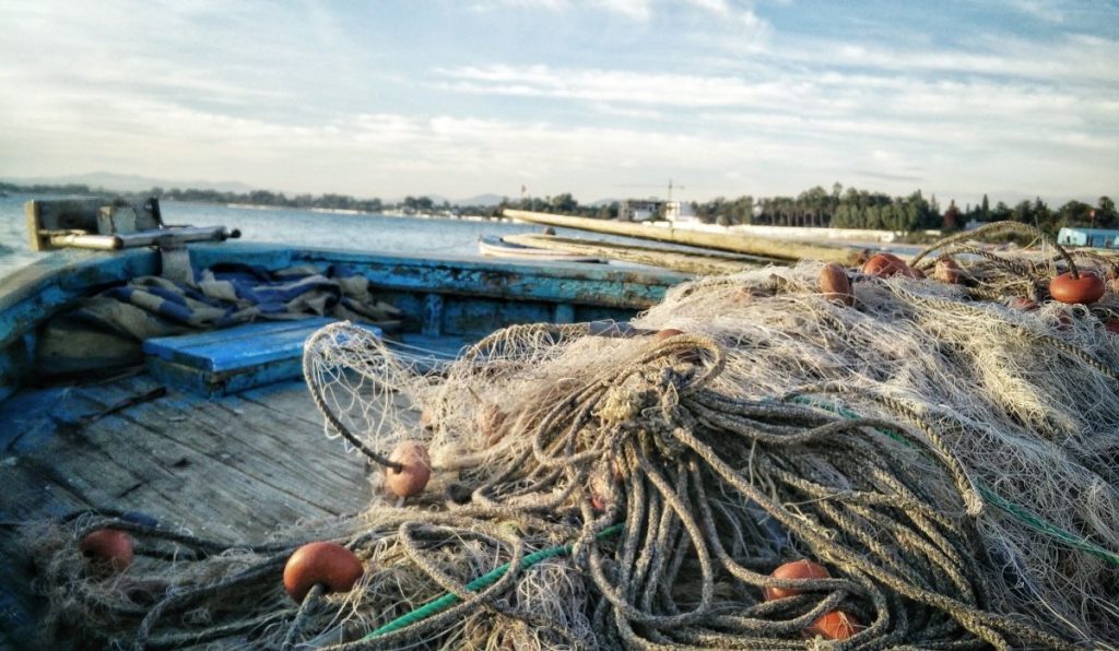 Prohibiția la scrumbie și rizeafcă începe în Delta Dunării, oficialii au rezerve privind eventualele modificări ale ordinului Începând de marți, pescuitul scrumbiei și al rizeafcăi va fi interzis în Delta Dunării, măsură luată pentru protejarea resurselor piscicole