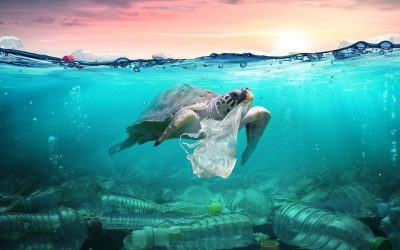 Oceanul, transformat într-un recipient pentru miliarde de particule de plastic invizibile, reprezintă o amenințare majoră, relevă un nou studiu