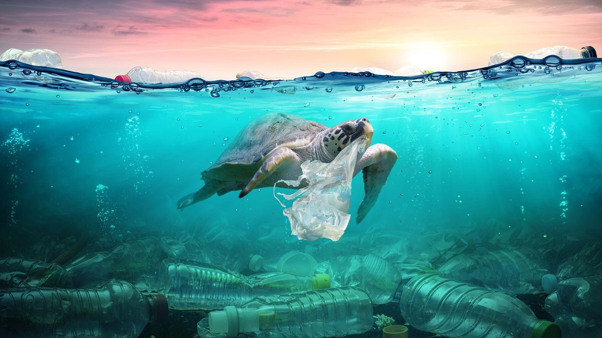 Oceanul, transformat într-un recipient pentru miliarde de particule de plastic invizibile, reprezintă o amenințare majoră, relevă un nou studiu