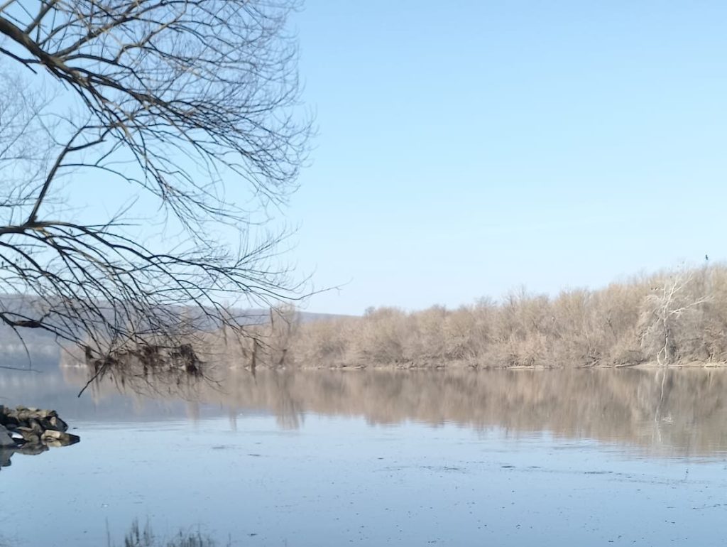 Poluare majoră pe Nistru: Republica Moldova, în alertă de mediu după atacul rusesc asupra unei hidrocentrale ucrainene Chișinău, 28 martie 2024 – Râul Nistru, sursă vitală de apă pentru Republica Moldova, este serios amenințat de poluare în urma atacurilor recente ale Rusiei asupra infrastructurii energetice din Ucraina
