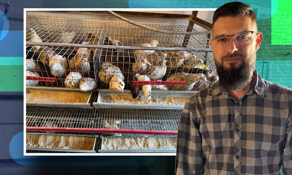 Preotul ionuț boer are fermă de prepelițe: „Vreau hrană sănătoasă pentru fiice”